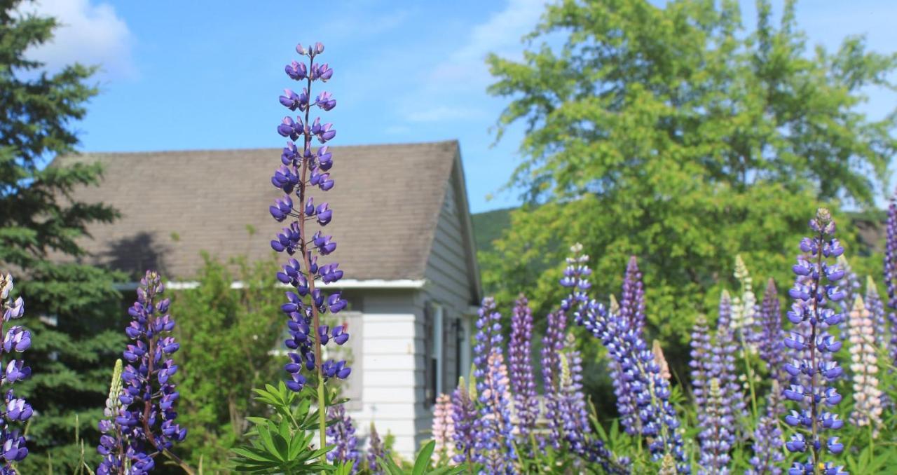 Chanterelle Inn & Cottages Baddeck Inlet Extérieur photo